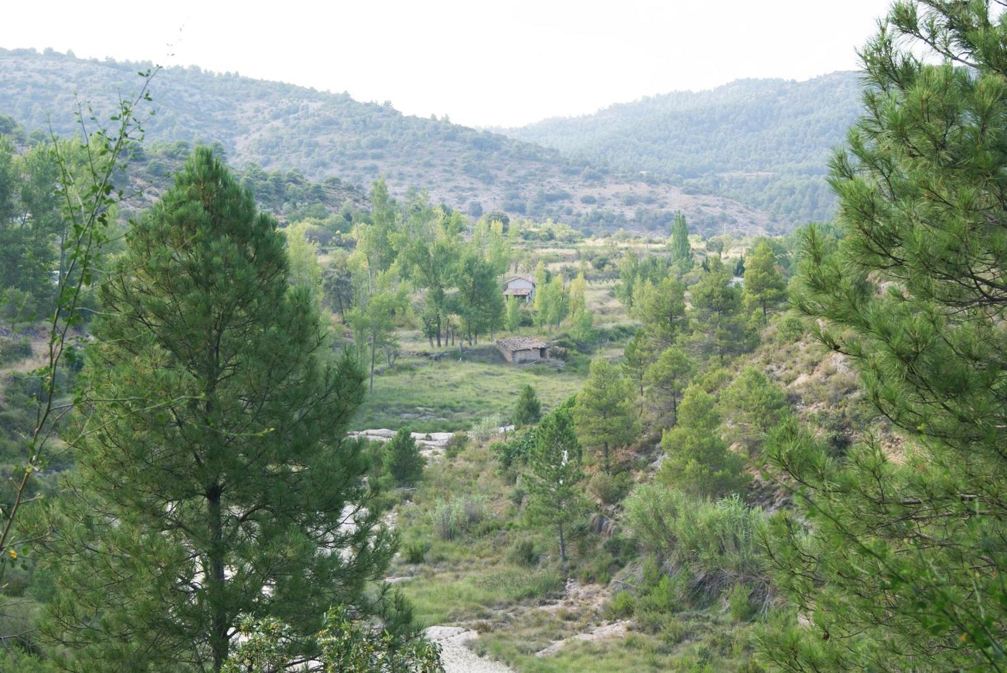 Apartamentos Dona Candida Valderrobres Dış mekan fotoğraf